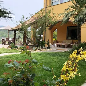 L'acacia Pietra Ligure